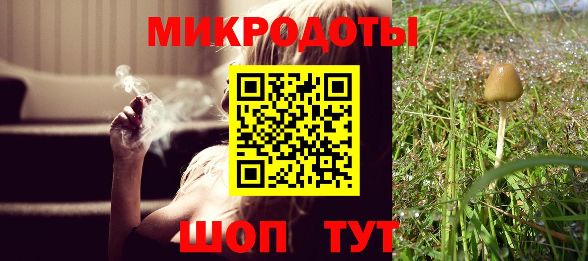 закладки  Псилоцибиновые грибы Magic Shrooms  Вход с VPN  Черкесск 
